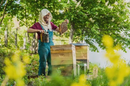 Prämierter Stadtwerke-Bienenhonig für Zuhause!