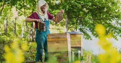 Prämierter Stadtwerke-Bienenhonig für Zuhause!